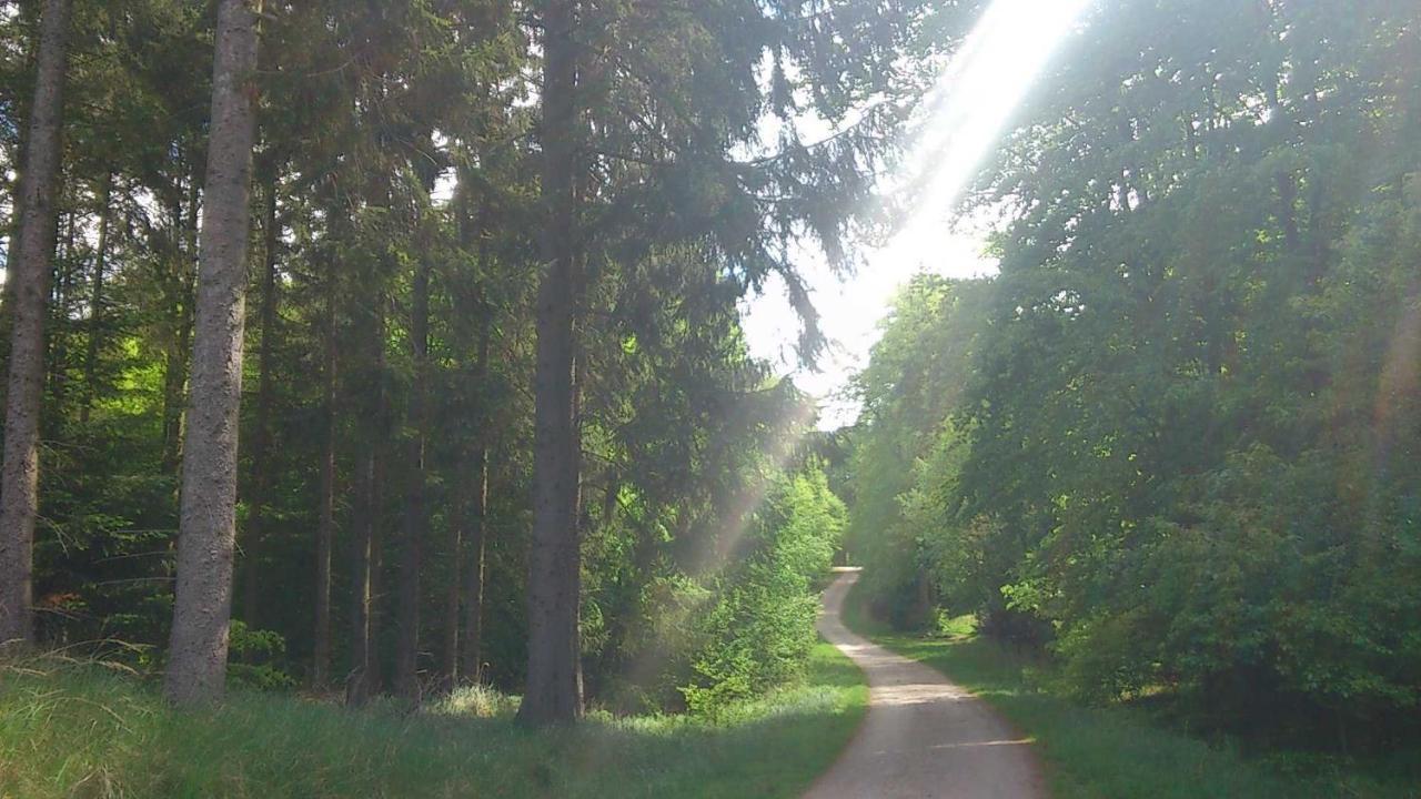 Top Ferienwohnungen Binz Granitzhof エクステリア 写真